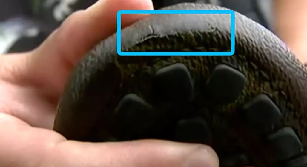 lv涨价是全球涨价吗,lv涨价已订货的会涨价吗