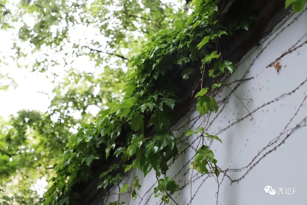 买了不算拥有，拍了才算