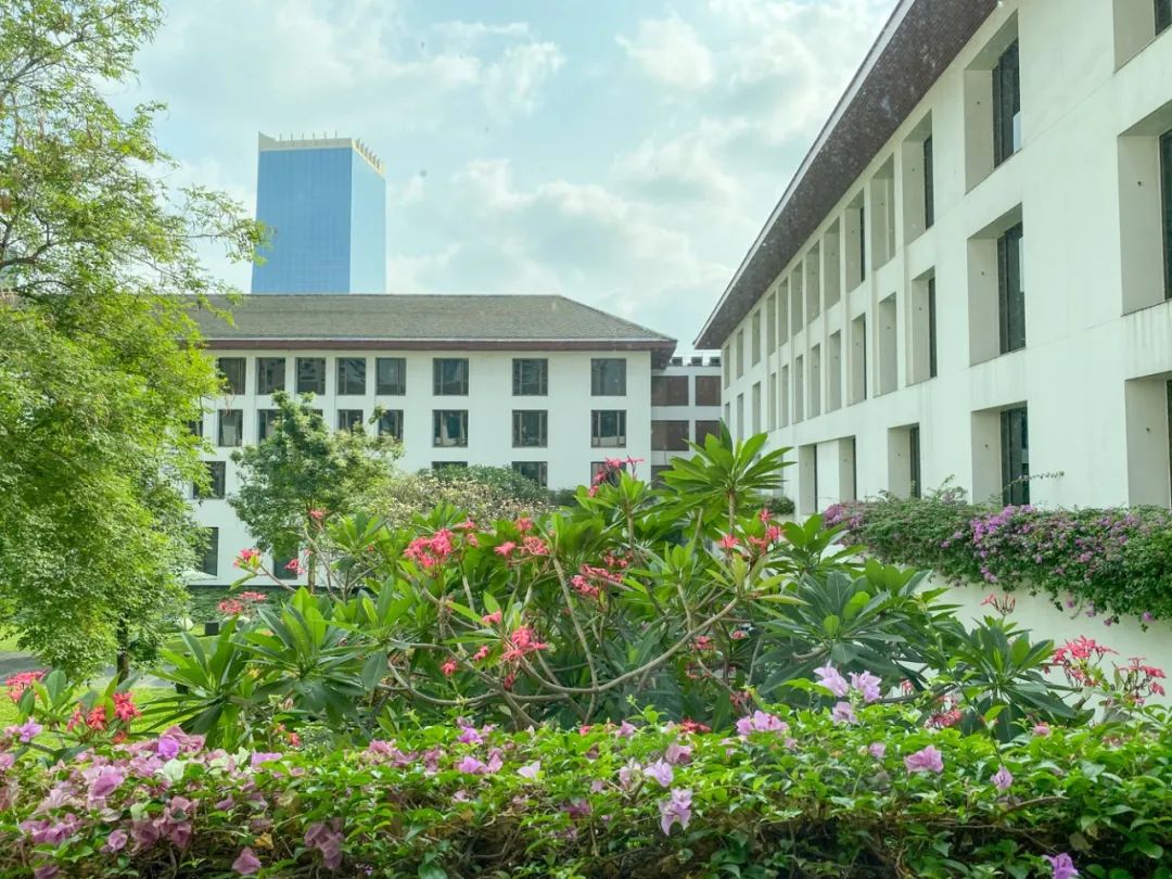 上半年经历了太多不尽人意的事,上半年过得很糟糕