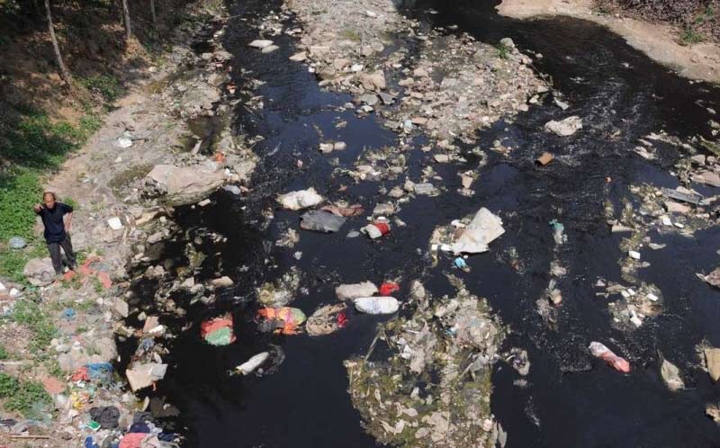 千里江河万亩山川,如何维持生态?值得钓友反思