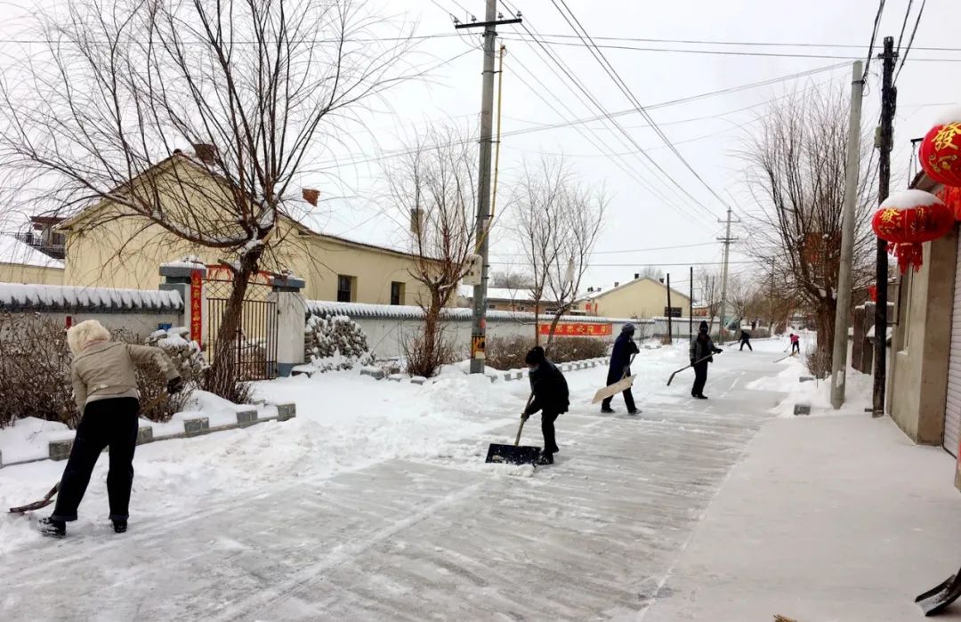 基层党建引领三农,基层党建先锋村