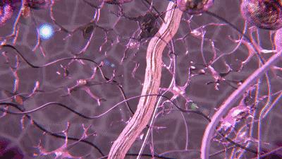 长期补充胶原蛋白的人怎么样了,长期喝胶原蛋白的人最后怎么样了