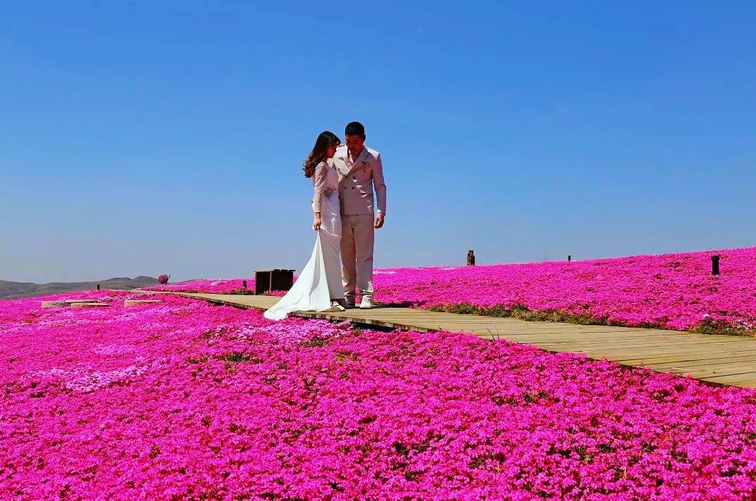 淄博博山区门票免费政策,淄博周边免票
