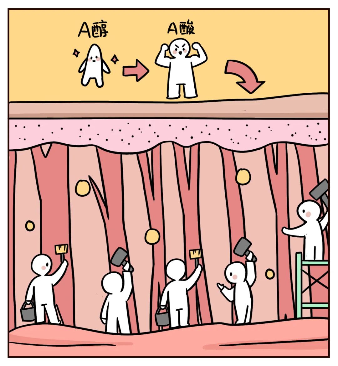 什么神仙保健康,什么神仙可以保身体健康