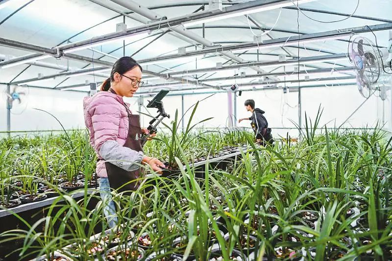 公司助农带货振兴乡村,感谢企业购买农产品助力乡村振兴