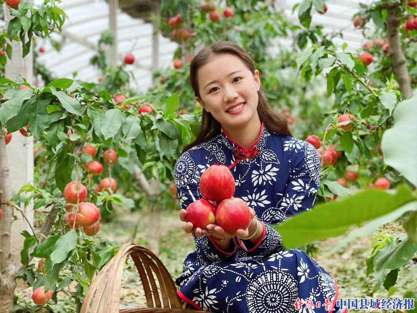 2022年砀山油桃的销量,砀山葛集镇油桃电商节