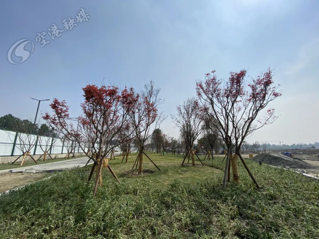 空港体育公园现在可以进去吗,空港体育公园还开放的吗