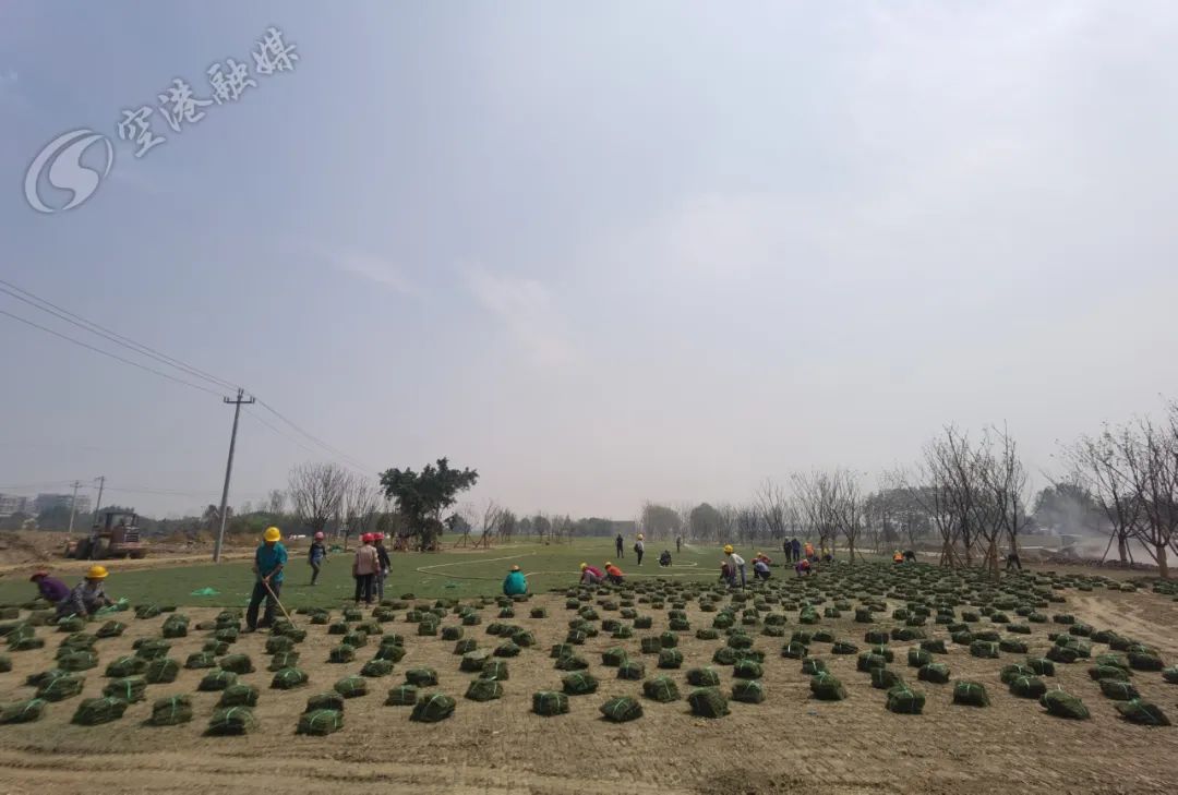 空港体育公园现在可以进去吗,空港体育公园还开放的吗