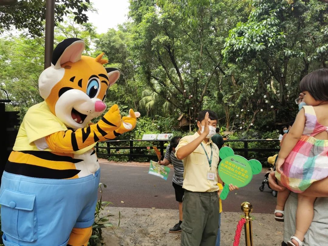 最新广州长隆野生动物园南门攻略,广州长隆动物园的白虎简介