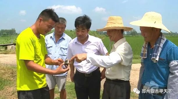 全国农业农村劳动模范名单公示,历届全国农民劳模