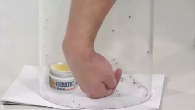 日本防蚊虫药膏,日本蚊子叮咬止痒膏儿童