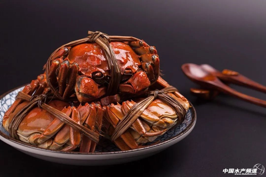 阳澄湖大闸蟹的真伪与安全,阳澄湖大闸蟹冒牌货多