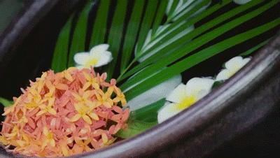 端午不加价水上别墅,端午不加价别墅惠州