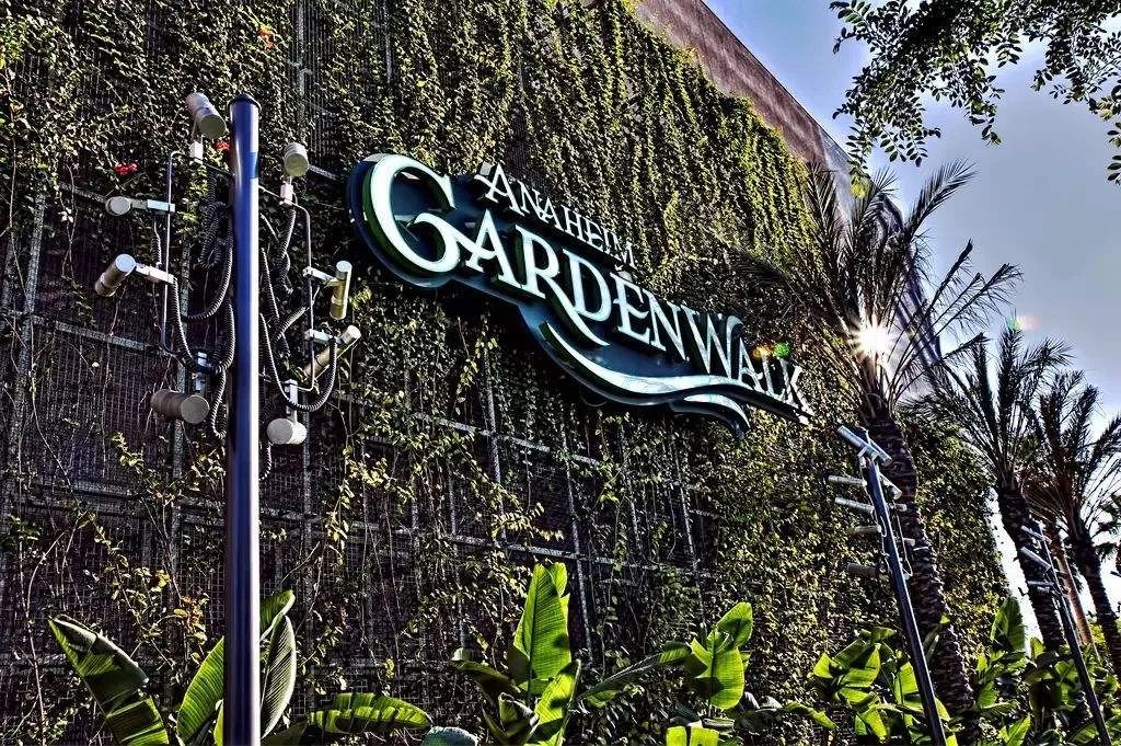 变革时代的商业模式是什么,变革中国市场经济的中国之路