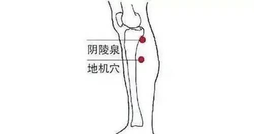 脾胃不好胃口差?按摩身体这5个穴位,让你远离脾胃虚弱