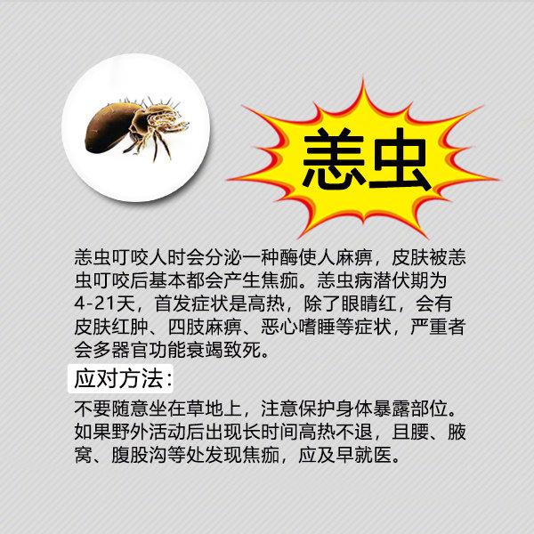 夏天防虫知识100条,夏季防虫叮咬小知识