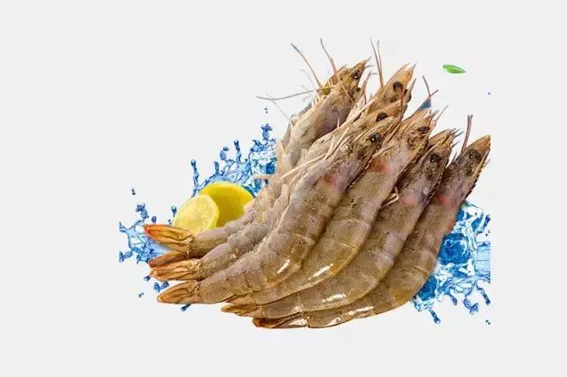 夏天防虫知识100条,夏季防虫叮咬小知识