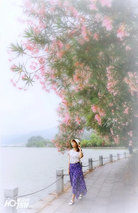 七星岩最新免费政策,肇庆市七星岩门票免费政策