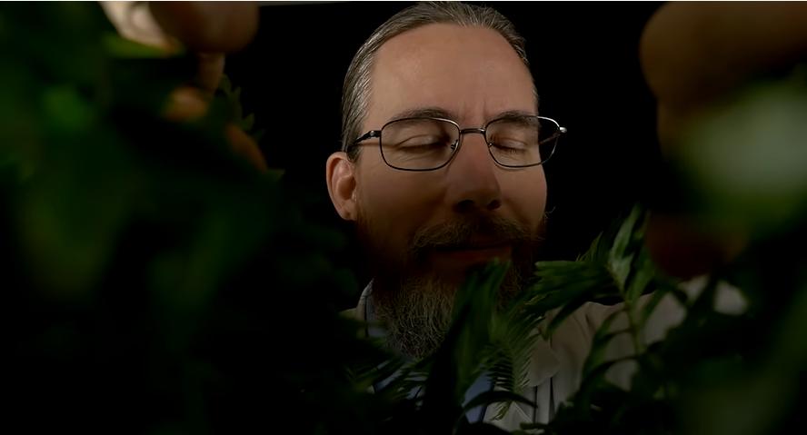 asmr为什么听着难受,asmr为什么能让人感到舒适