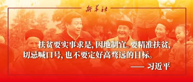 习语“智”读|精准，总书记教给我们的方*论法**