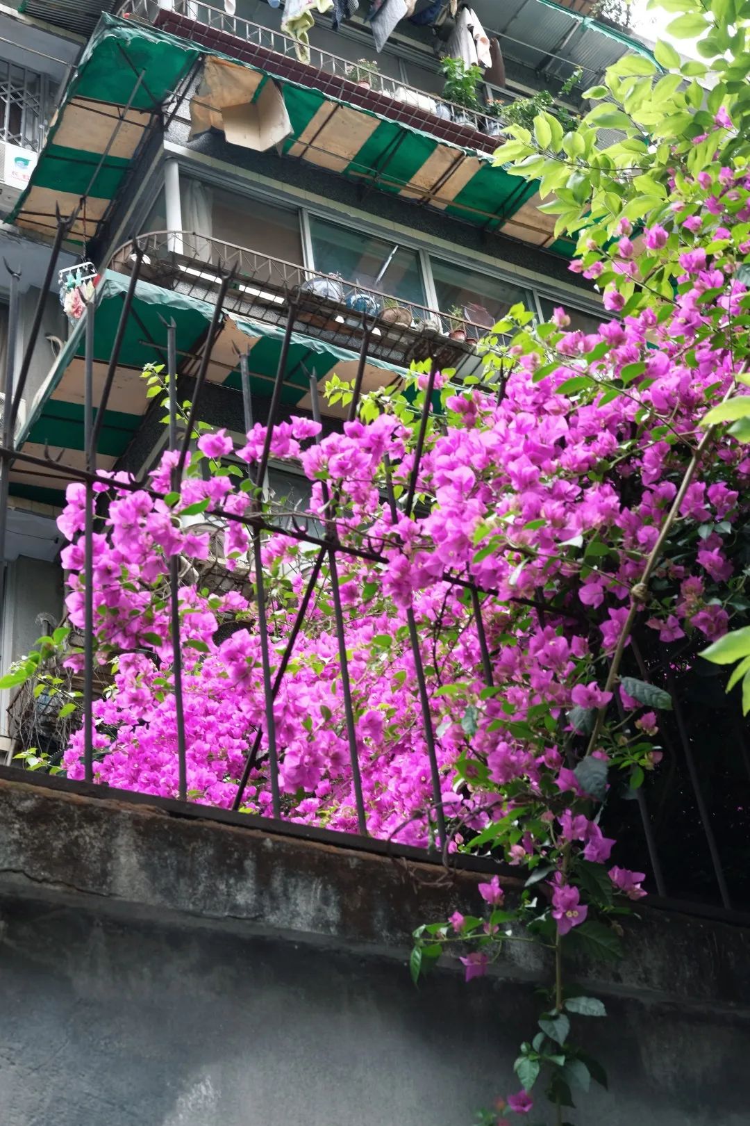 少陵路属于什么街道,没有任何历史的城市