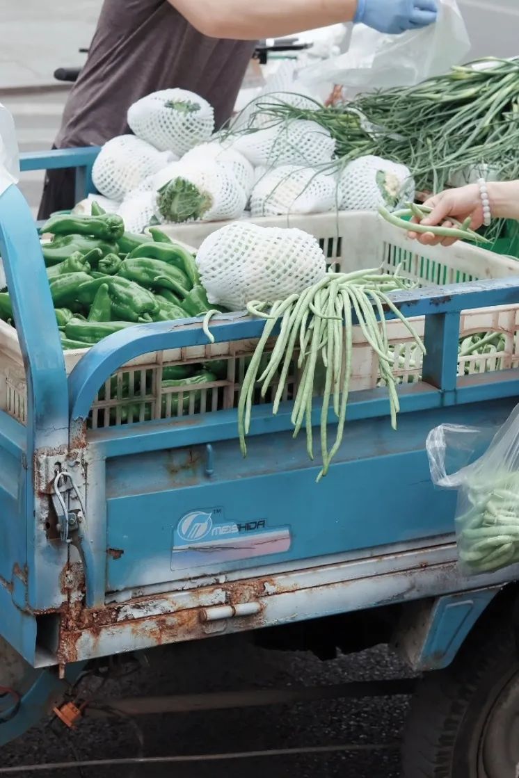 少陵路属于什么街道,没有任何历史的城市