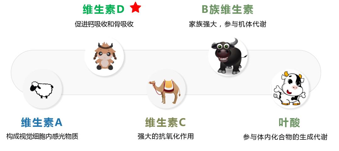 骆驼奶牛奶羊奶到底哪个好,牛奶羊奶骆驼奶哪个营养价值高