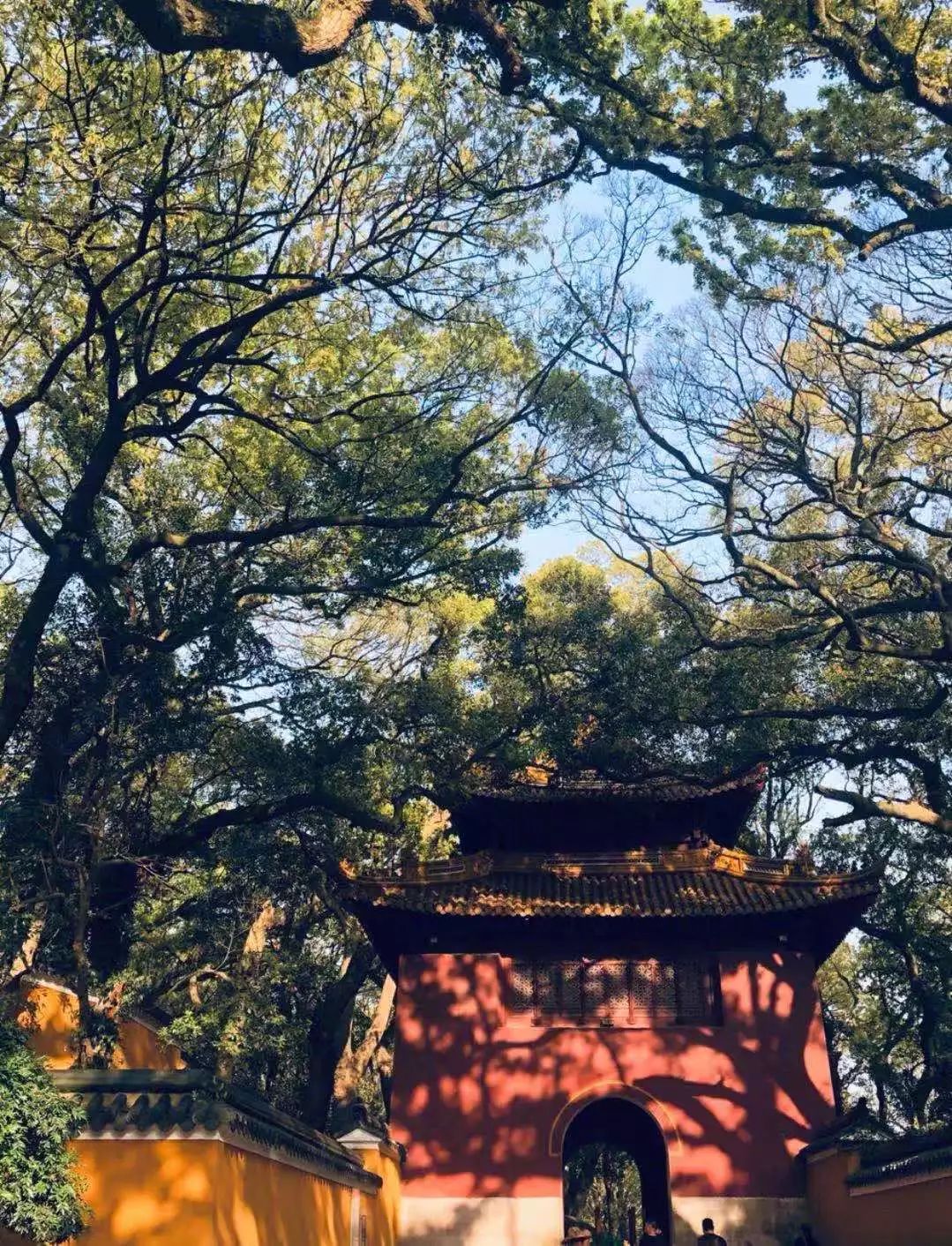 挖到马云同款海景酒店！人均300+住全庭院式房间，赠亲子下午茶