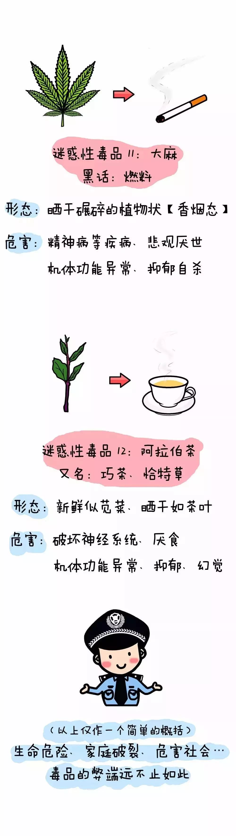 禁毒宣传月拒绝毒品了解禁毒知识,禁毒珍爱生命远离毒物