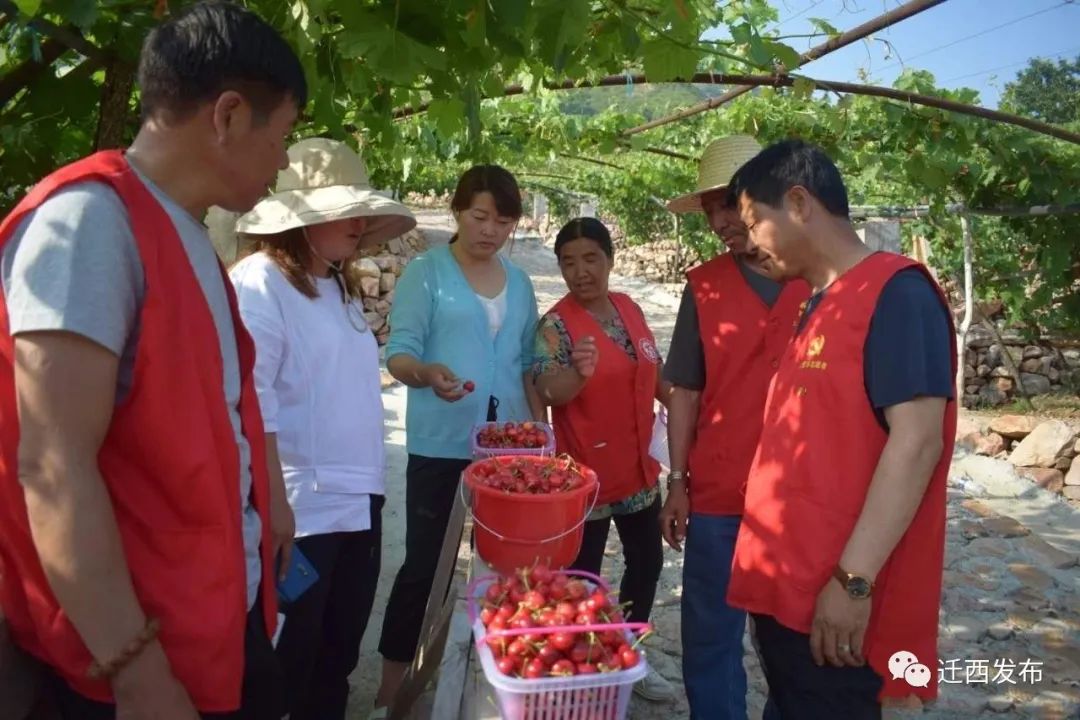 河北曹妃甸盐碱滩上樱桃红,河北樱桃红地点