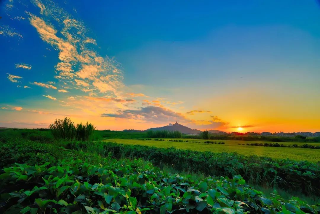 松江9号线好玩的地方有哪些呢,地铁松江一日游