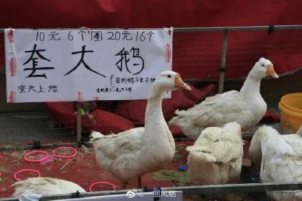 西安可以摆地摊的夜市,西安儿童医院摆地摊