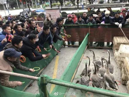 西安可以摆地摊的夜市,西安儿童医院摆地摊