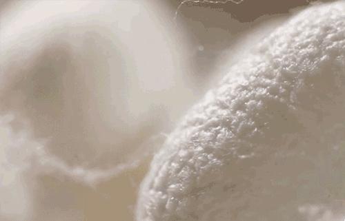 高档可爱甜美ins风纯棉睡衣,天丝棉轻奢短袖睡衣