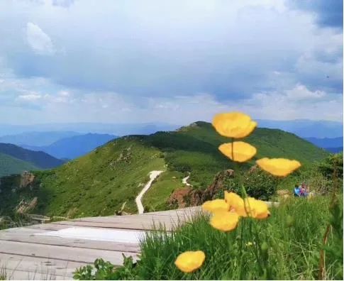 「限量特价」39元抢购价值5000元的2020年北京联合游览通票1套，可畅游京城百家景区，不贴照片不实名，不限周末，省钱还省心