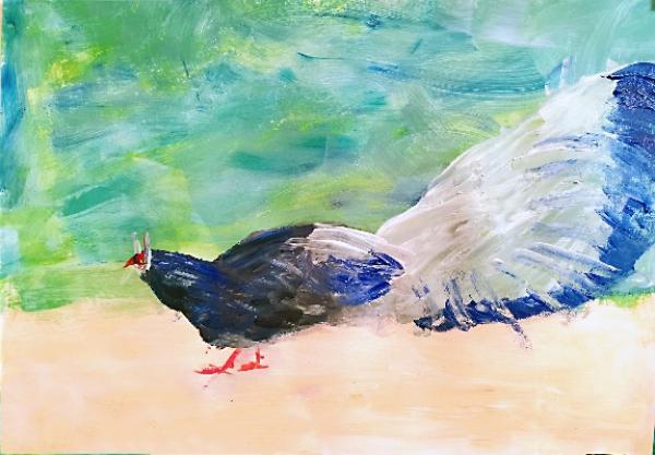 保护生物多样性日手抄报,关于保护生物多样性的板报