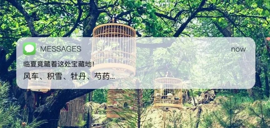 厦门最适合度假的海边五星级酒店,厦门品质度假酒店