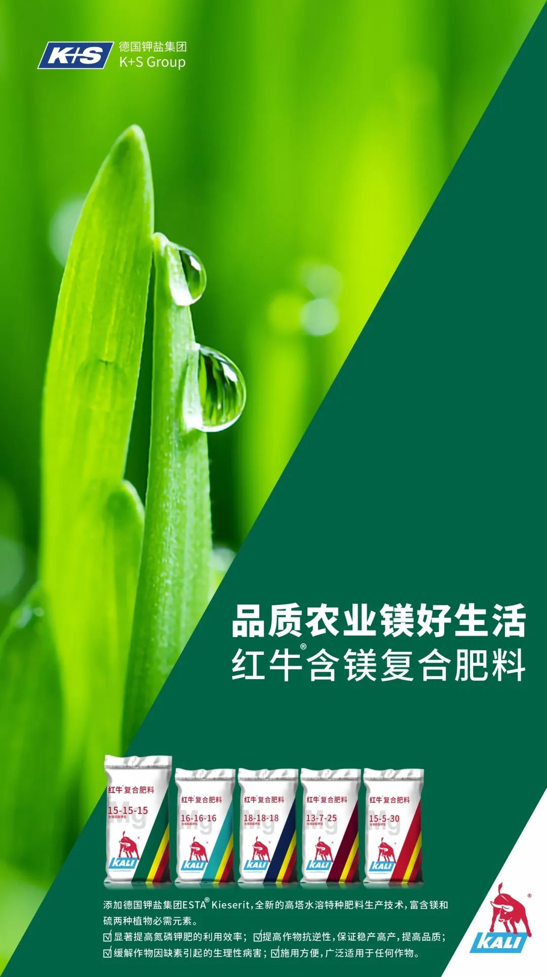 红牛含镁特种复合肥系列,最新红牛上市消息