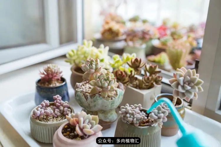 专注于自己喜欢的事情,专注于自己喜爱的事情