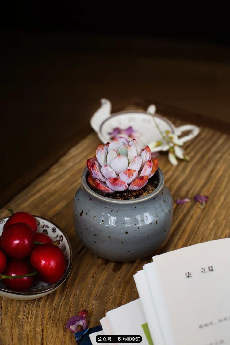 专注于自己喜欢的事情,专注于自己喜爱的事情