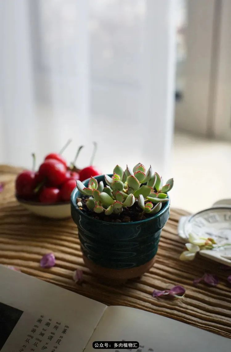 专注于自己喜欢的事情,专注于自己喜爱的事情