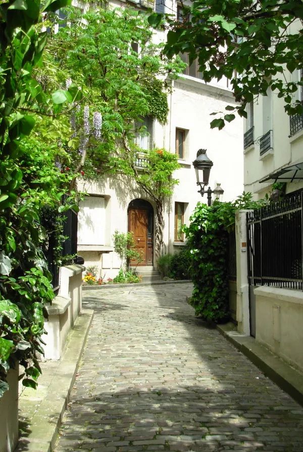 塞纳河畔旧书摊,塞纳河畔旧书摊的故事