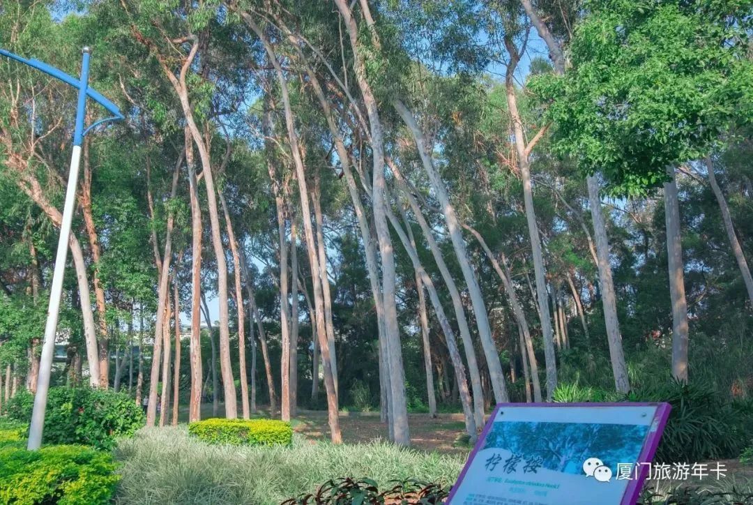 带娃出去玩的公园推荐,周六日可以带娃去的公园