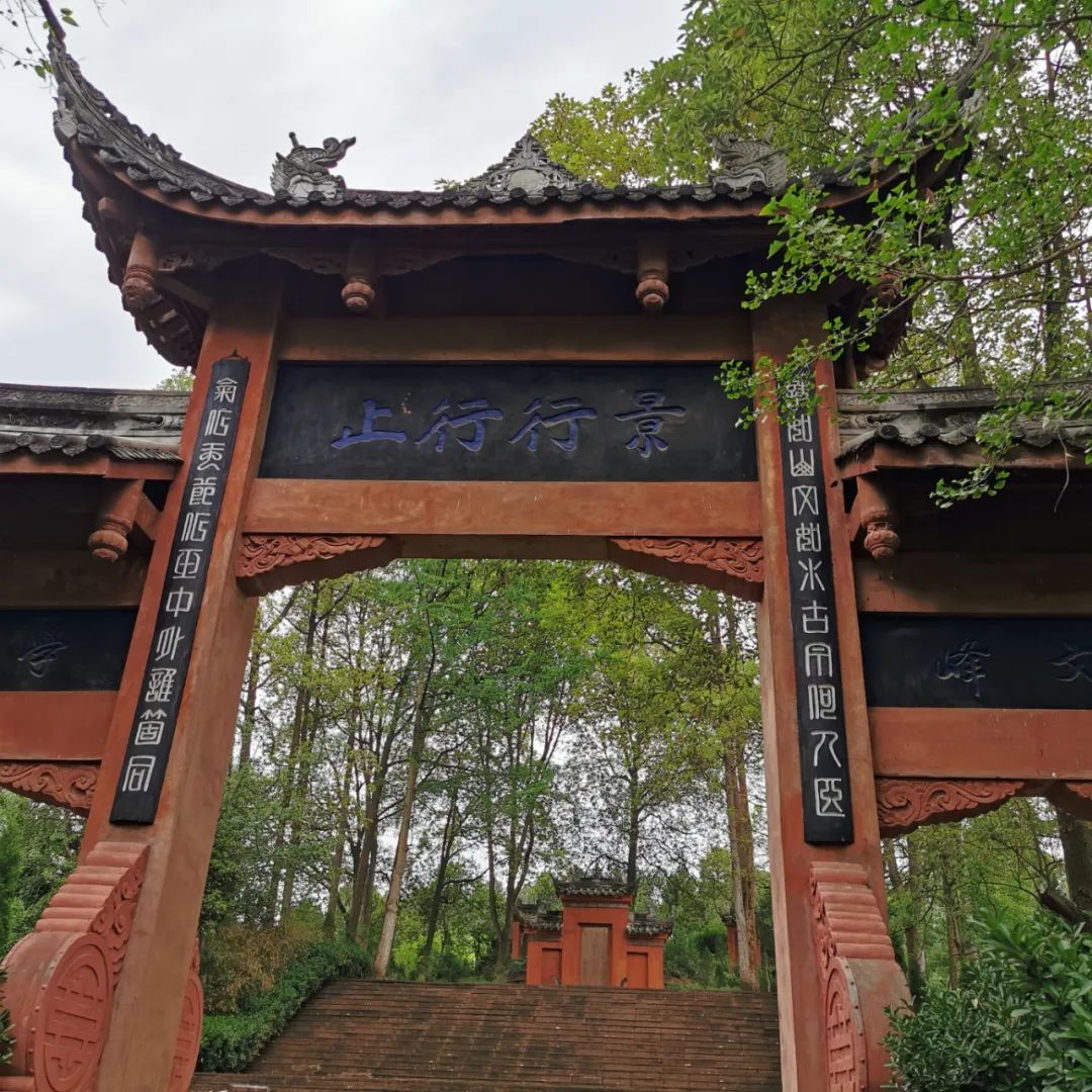 三番五次离家出走,三次离家出走的男孩