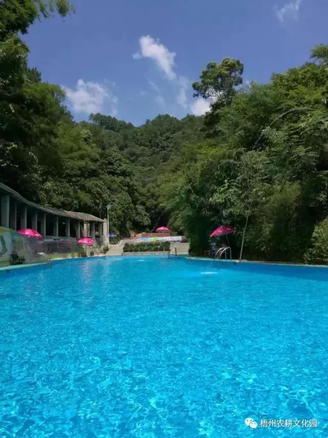 来梧州，体验岭南文化，吃遍大街小巷|“广西人游广西”精品自驾游路线