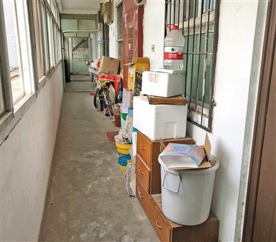 小区神器,小区内遛狗不拴绳怎样整治