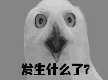 紧急提醒男子被虫咬,紧急提醒1人抢救无效身亡