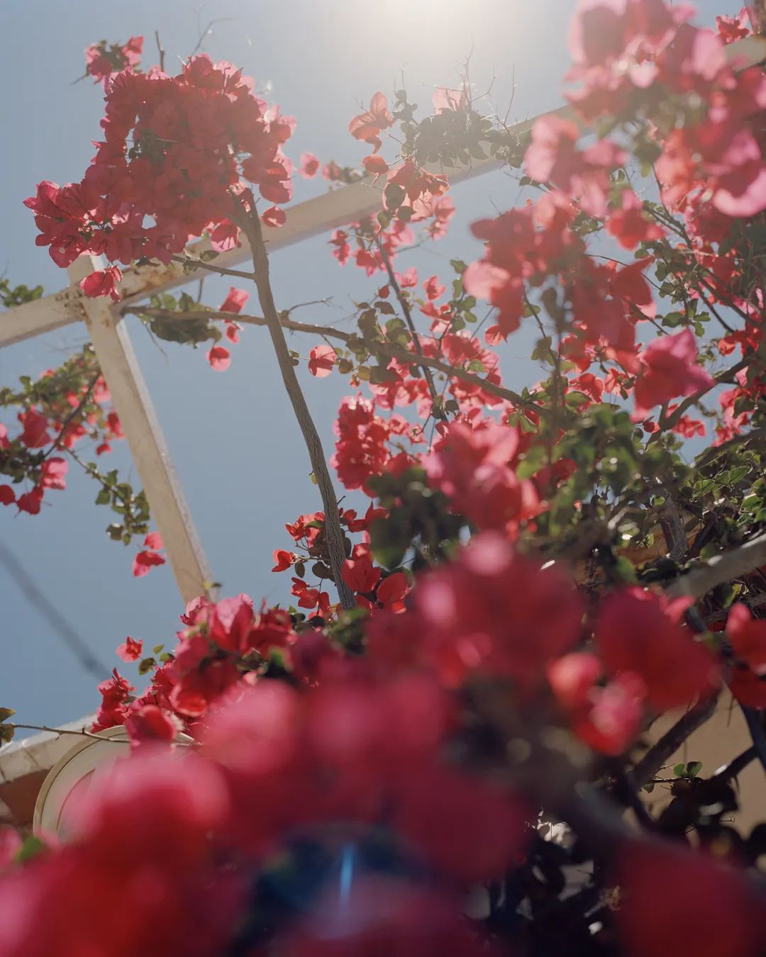 跟着香奈儿穿出大牌气质,香奈儿度假系列和高级成衣