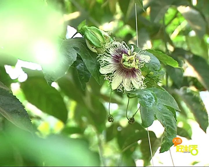 近郊亲子农场有哪些地方,亲子休闲农场