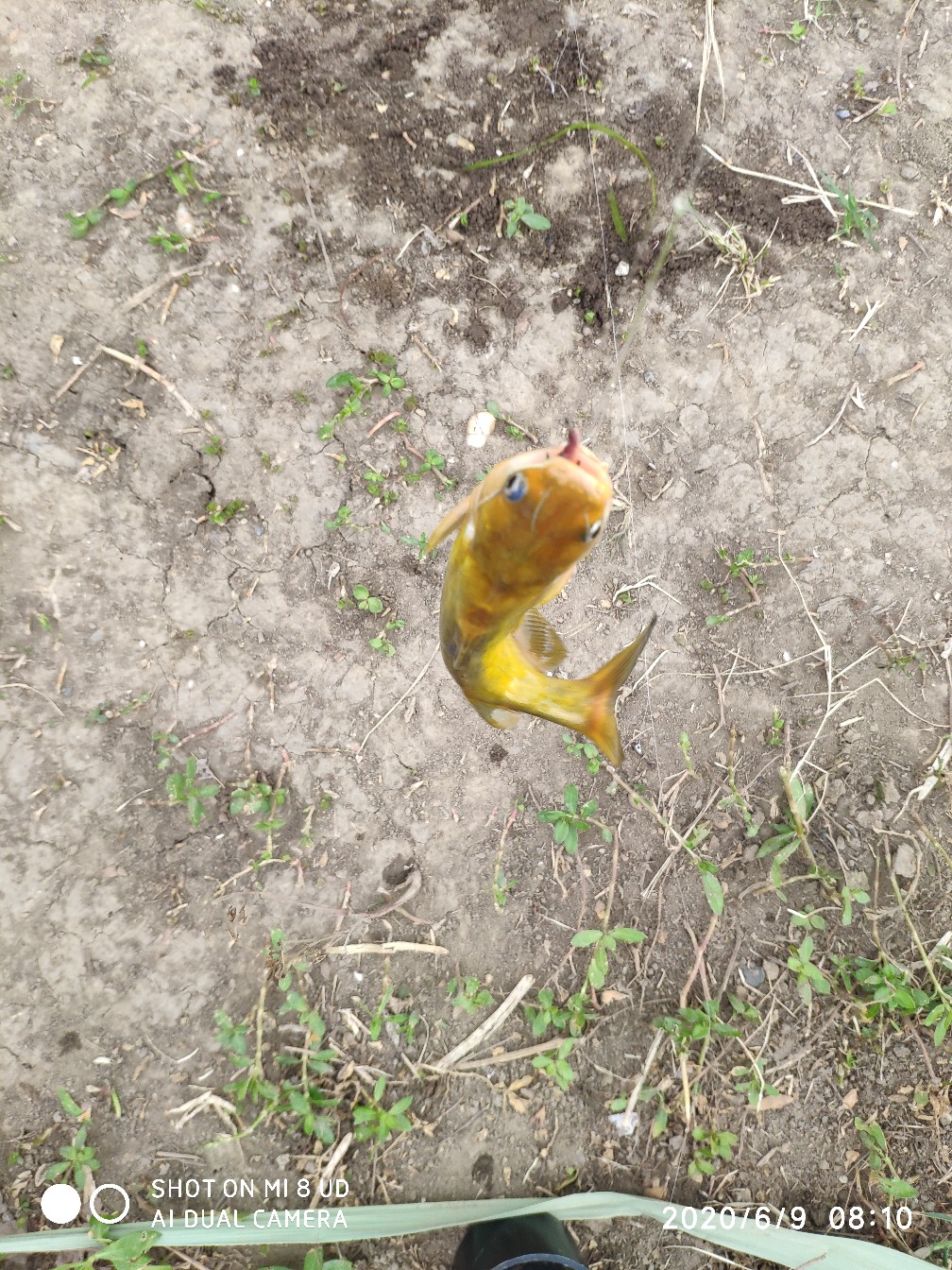 小矶竿导环怎么修复,小矶竿手把节修复